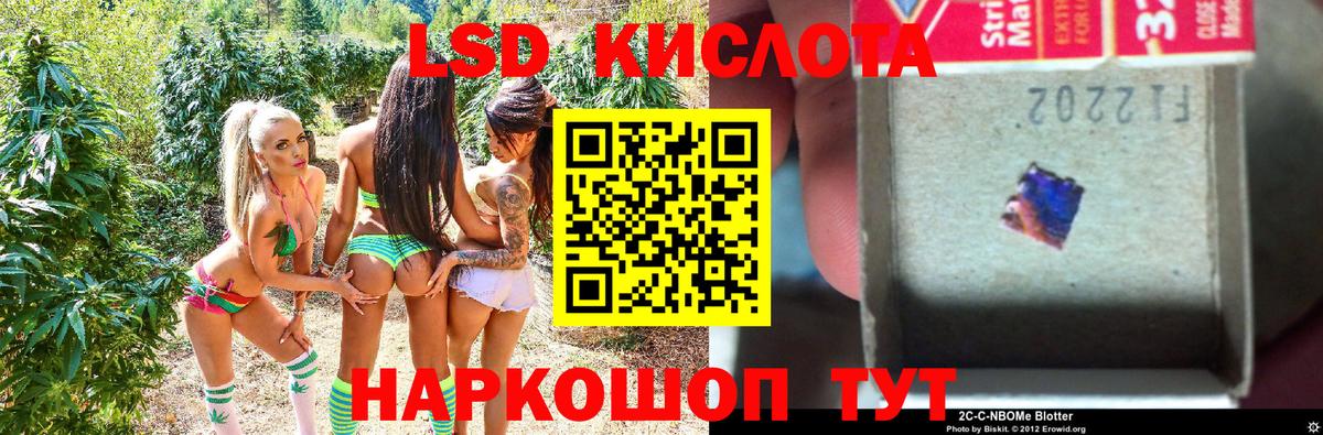Наркотические марки 1,5мг  Марки 25I-NBOMe  Балашов  Наркотические марки 1,5мг  купить наркотик  Вход с VPN 