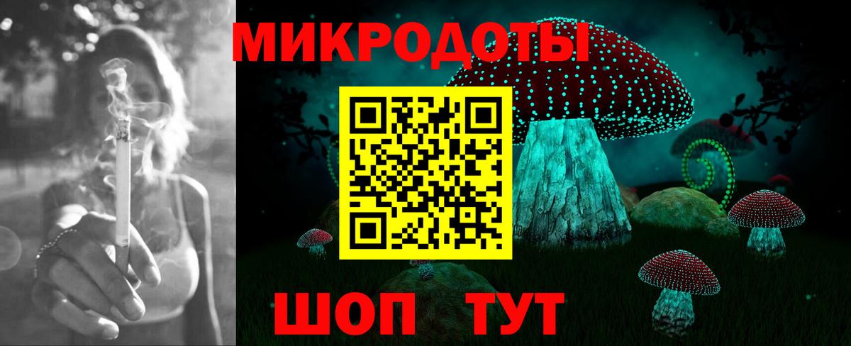 Балашов  Псилоцибиновые грибы ЛСД  Вход с VPN 
